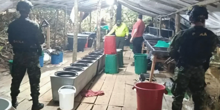 Desmantelado laboratorio de cocaína del Clan del Golfo en Santander