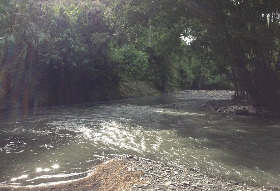 Auxiliar de vuelo hallada muerta en río de Cundinamarca; su amigo sigue desaparecido