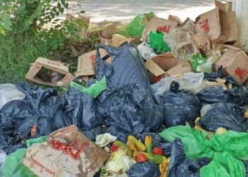 Hallan alimentos del PAE en descomposición a pocos metros de colegio en Zona Bananera