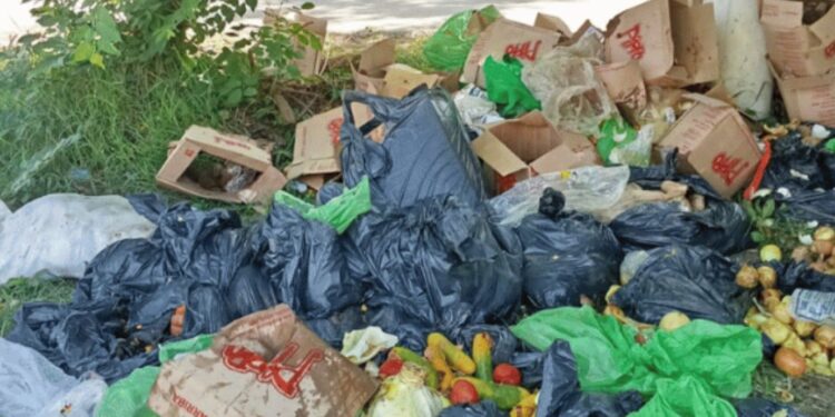 Hallan alimentos del PAE en descomposición a pocos metros de colegio en Zona Bananera