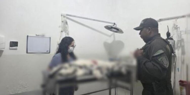 Primera judicialización en Palmira, Valle del Cauca por maltrato animal bajo la Ley Ángel