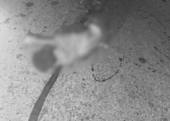 Sin identificar, permanece en la morgue el cuerpo de hombre arrollado en la vía Maicao – Paraguachón