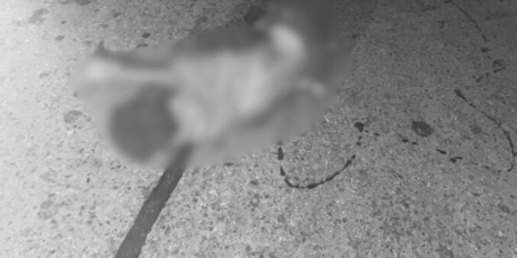 Sin identificar, permanece en la morgue el cuerpo de hombre arrollado en la vía Maicao – Paraguachón