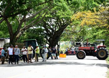 Gremio arrocero mantiene paro y se levanta de la mesa de diálogos tras ausencia de la ministra de Agricultura