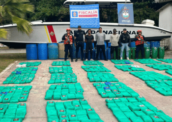 Incautan más de 700 kilos de marihuana en el Caribe y capturan a tres costarricenses
