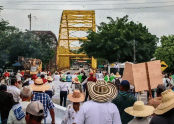 Arroceros guajiros evalúan participación en paro nacional ante crisis del sector