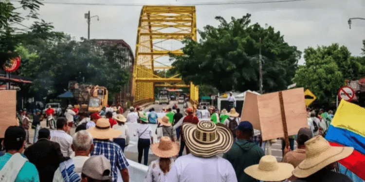 Arroceros guajiros evalúan participación en paro nacional ante crisis del sector