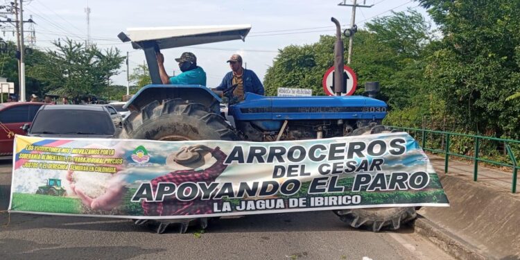 Gobierno y gremio arrocero alcanzan acuerdo inicial
