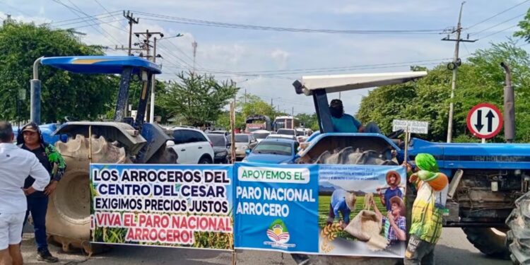 Paro arrocero se intensifica por falta de diálogo con el Gobierno: gremio denuncia incumplimientos y bloqueos se prolongan