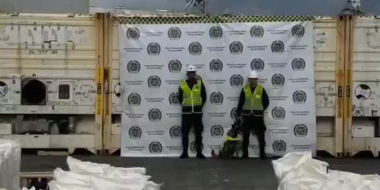 Incautan más de 4 toneladas de droga en el puerto de Santa Marta; tenían como destino Bélgica