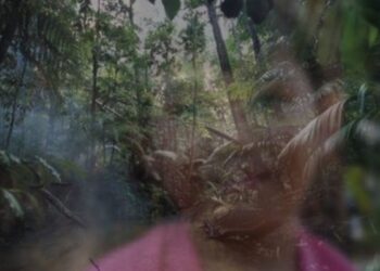 Procuraduría interviene en favor de niña indígena sobreviviente del accidente aéreo, ocurrido en Guaviare en el 2023