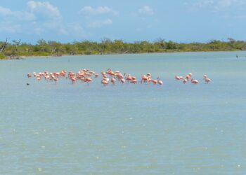 La Guajira bonita y positiva, donde los guajiros hemos disfrutado muy poco con lo mucho que tenemos
