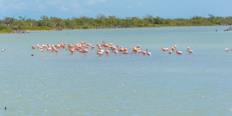 La Guajira bonita y positiva, donde los guajiros hemos disfrutado muy poco con lo mucho que tenemos