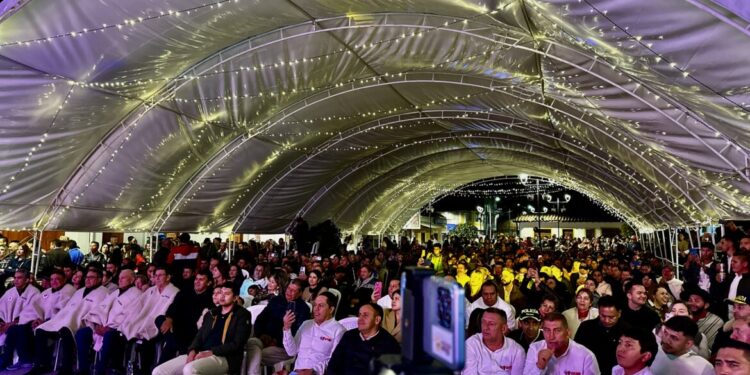 Festivaleros de profesión