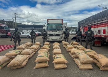 Incautan 4,9 toneladas de químicos usados para la producción drogas en la frontera colombo-ecuatoriana