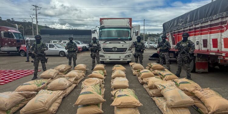 Incautan 4,9 toneladas de químicos usados para la producción drogas en la frontera colombo-ecuatoriana