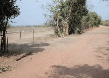 Hallan a mujer asesinada a bala en vía a Juan Mina