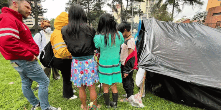 ICBF intensifica acciones de protección tras detectar casos de embriaguez en menores en Bogotá