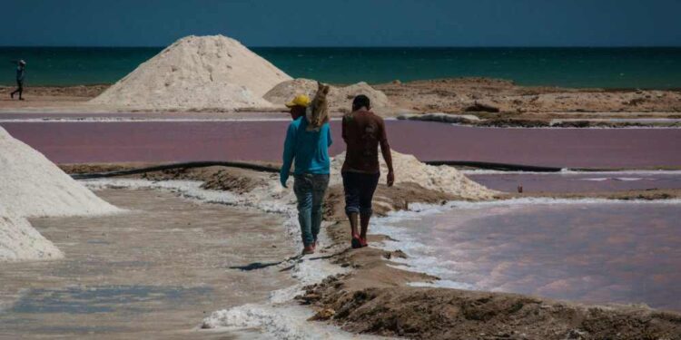 Gobierno sanciona Ley SAMA: $61 mil millones para salvar y reactivar las Salinas de Manaure