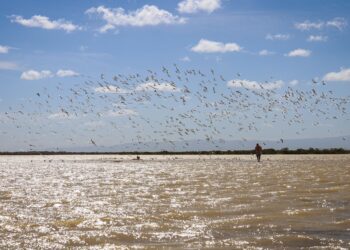 La Guajira obtiene el primer lugar en la convocatoria nacional «Colombia: Destino Astroturístico»