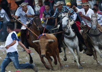 En galleras, corralejas y coleos quedó prohibido jugar