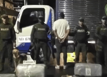 Golpe al narcotráfico: incautan 1,5 toneladas de marihuana en Cundinamarca