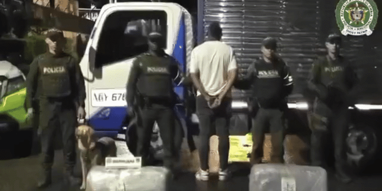 Golpe al narcotráfico: incautan 1,5 toneladas de marihuana en Cundinamarca