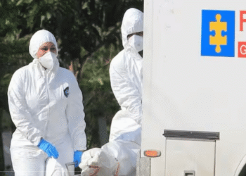 Hallan cadáver con heridas de bala en trocha rural de Baranoa; víctima permanece sin identificar