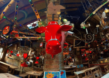 Falla en máquina de humo deja nueve personas con quemaduras leves en restaurante Andrés DC, norte de Bogotá