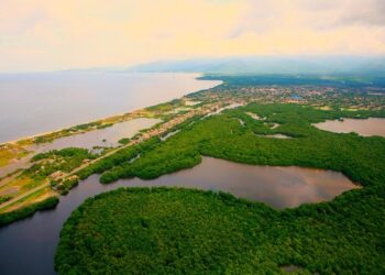 Aprobado en primer debate proyecto de ley para recuperar la Ciénaga Grande de Santa Marta