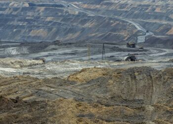 Las uvas están verdes