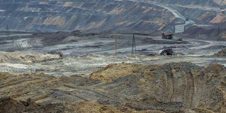 Las uvas están verdes