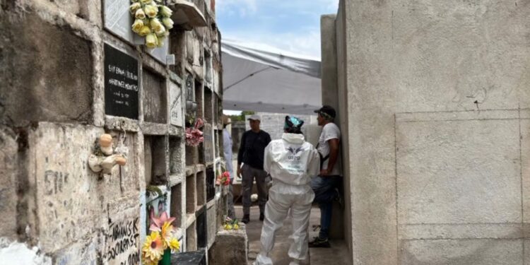 Exhuman 13 cuerpos en el cementerio de Villanueva para su identificación
