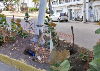 Corpoguajira rechaza actos vandálicos contra proyecto paisajístico en la Avenida Primera de Riohacha