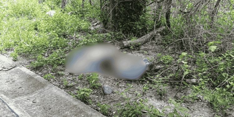 Hombre hallado muerto en zona rural de Dibulla, era un mototaxista de Santa Marta