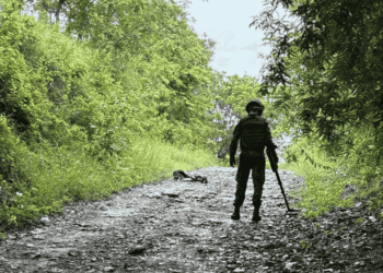 Ejército Nacional neutralizó artefacto explosivo del ELN en zona rural de Pelaya, Cesar