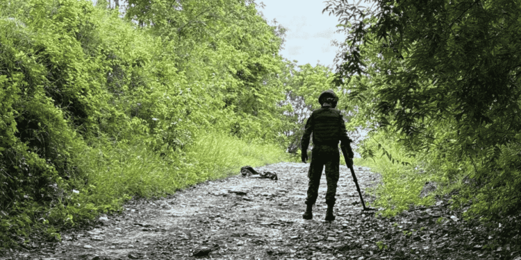 Ejército Nacional neutralizó artefacto explosivo del ELN en zona rural de Pelaya, Cesar