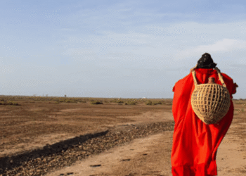 Procuraduría investiga a más de 40 funcionarios por presunto incumplimiento de sentencia que protege a la comunidad Wayúu