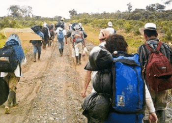 Defensoría alerta por el desplazamiento de más de 2.300 personas en Briceño y Anorí, Antioquia