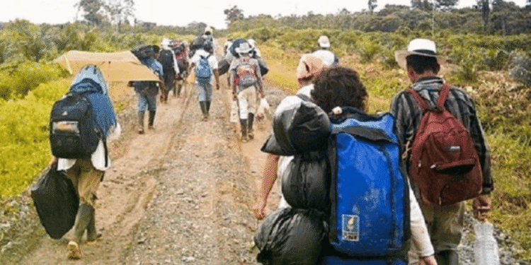 Defensoría alerta por el desplazamiento de más de 2.300 personas en Briceño y Anorí, Antioquia