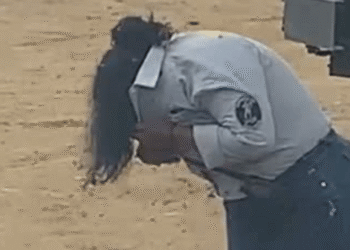 Guarda de seguridad fue atacada por un enjambre de abejas africanas en zona rural de Uribia