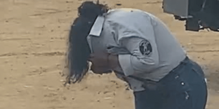 Guarda de seguridad fue atacada por un enjambre de abejas africanas en zona rural de Uribia