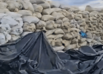 Descubren finca en Huila donde incineraban huesos para fabricar productos de limpieza y alimento animal