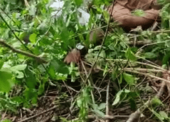 Asesinan a mototaxista en atentado sicarial a orillas del río Ranchería, en Fonseca