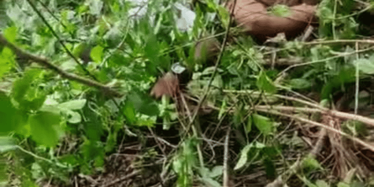 Asesinan a mototaxista en atentado sicarial a orillas del río Ranchería, en Fonseca