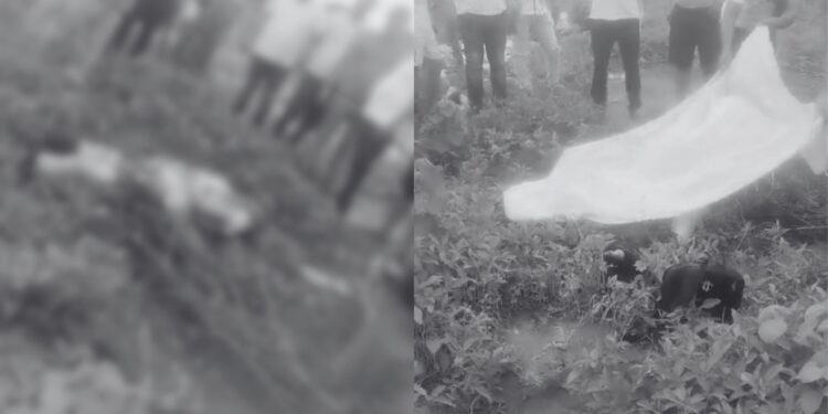 Identifican a hombre hallado sin vida en zona enmontada de Maicao: era miembro de la comunidad wayuu