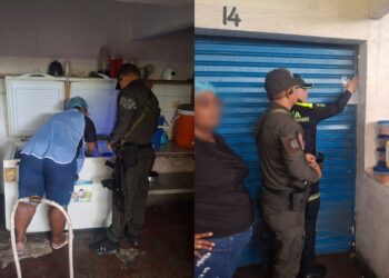 Incautan 14 kilogramos de carne de tortuga y suspenden actividad comercial en punto de venta de Manaure