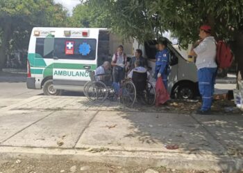 Ataque de abejas africanizadas en el barrio Los Mayales de Valledupar deja más de 20 adultos mayores afectados