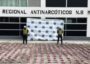 Incautan 347 kilos de cocaína ocultos en cargamento de banano en el puerto de Santa Marta