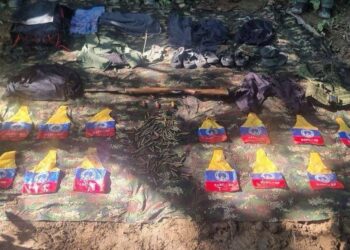 Fuerza Armada venezolana asegura haber destruido dos campamentos de las FARC en la frontera con Colombia